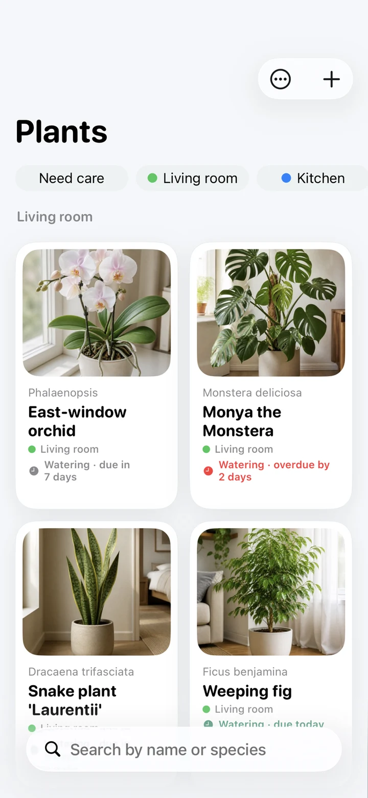 Your collection — My Bloomy