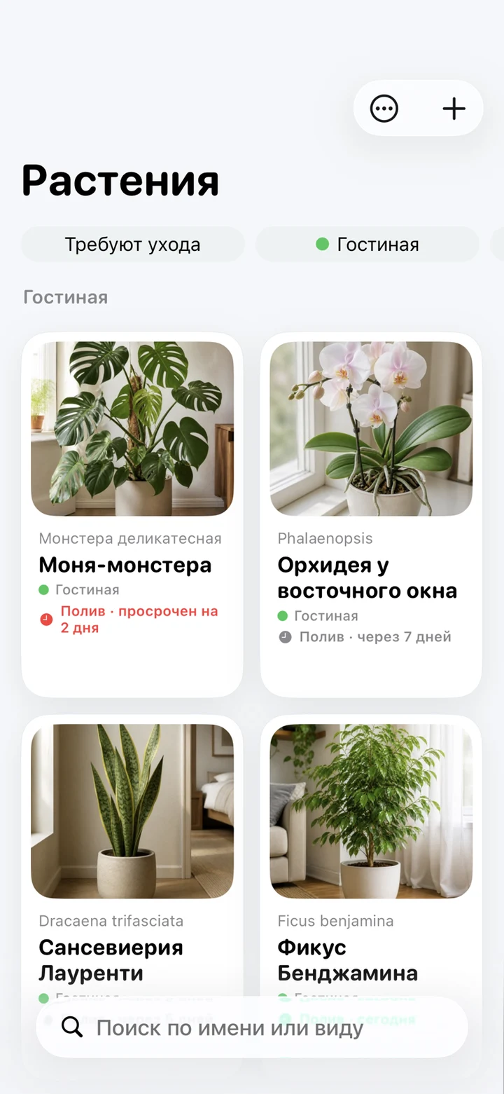 Вся коллекция — My Bloomy